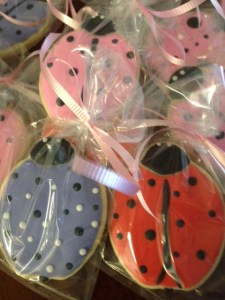 ladybugs 1 (4)