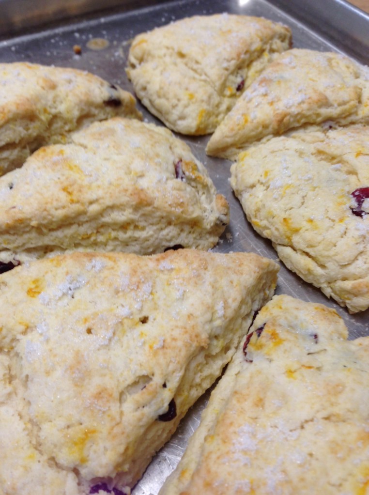 orangecranberryscones2